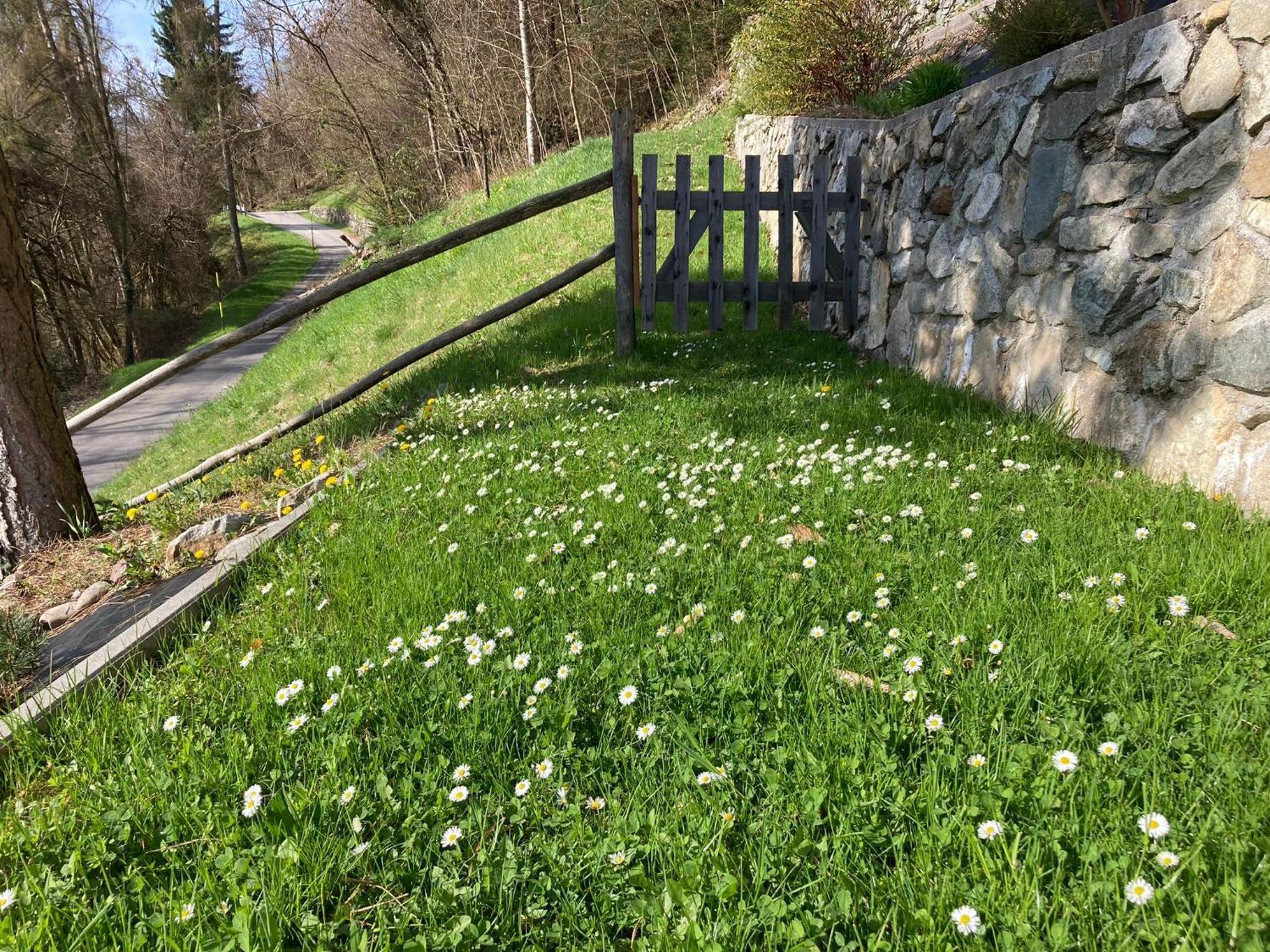Monte Tesobo Frühstückspension Rundscheinberg